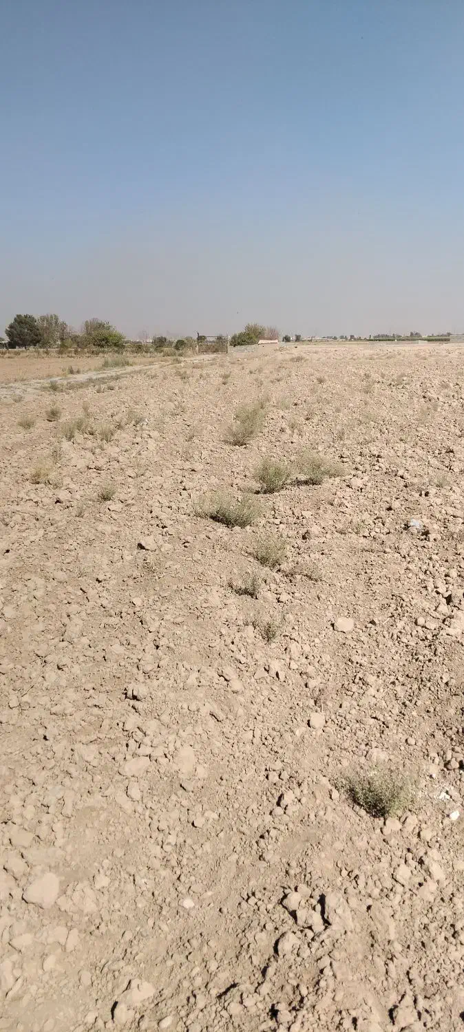 زمین دوربر تفکیک شده|فروش دفتر صنعتی، کشاورزی، تجاری|پاکدشت, پاکدشت (مامازند)|دیوار