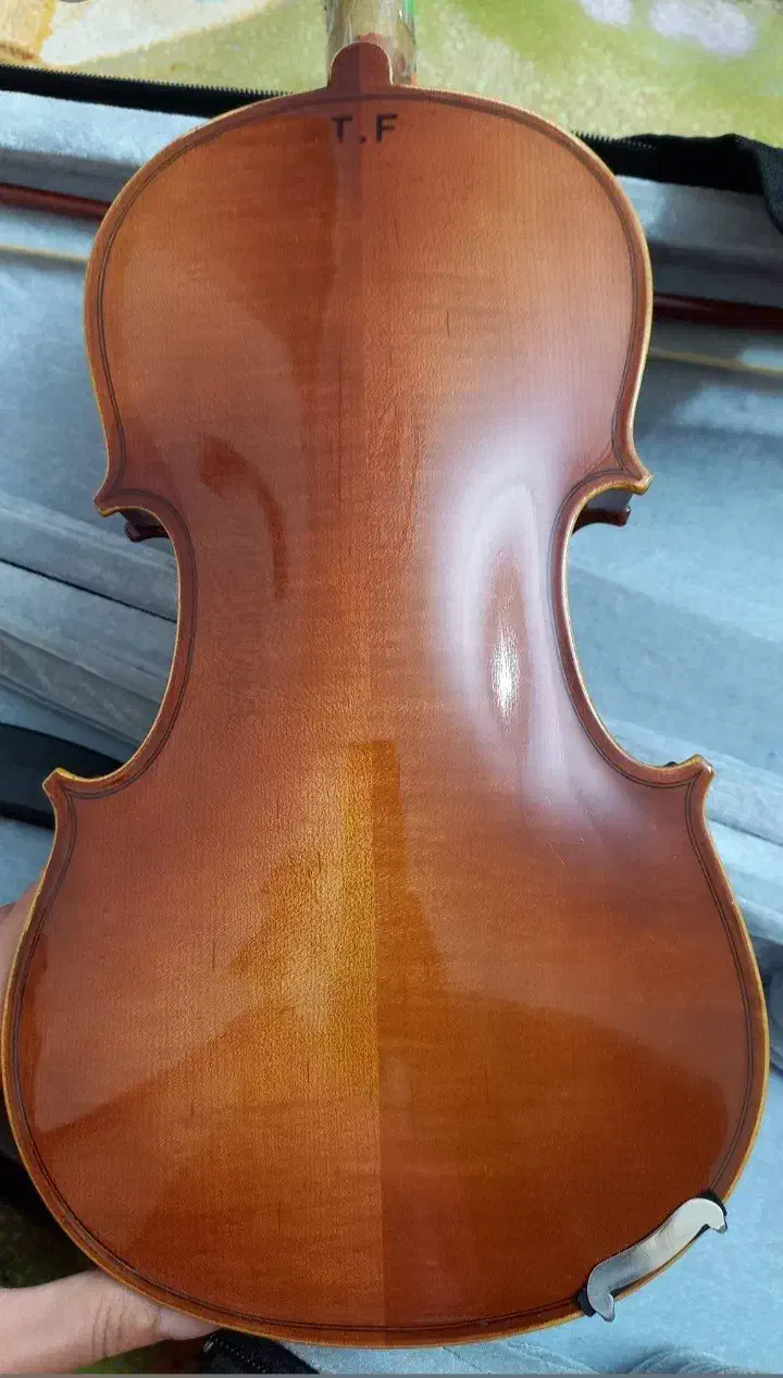 ویولن|ویولن|تهران, مینای جنوبی|دیوار