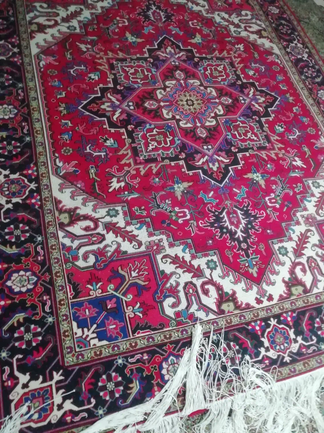 فرش12متری تک|فرش|هریس, |دیوار