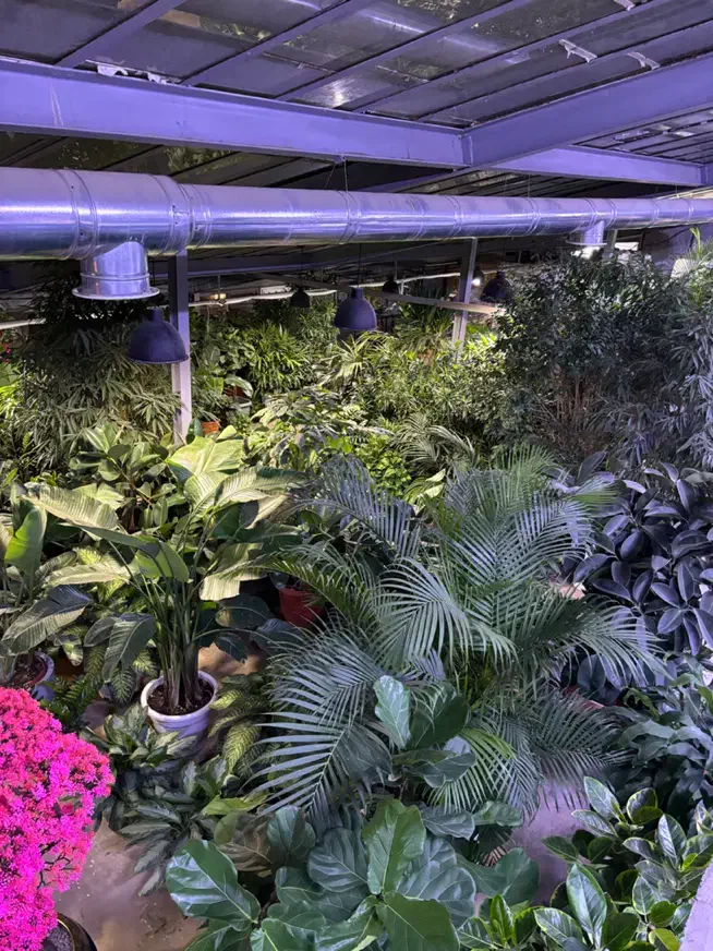 نیروی ساده ی گلخانه|استخدام خدمات فروشگاه و رستوران|تهران, جماران (نیاوران)|دیوار