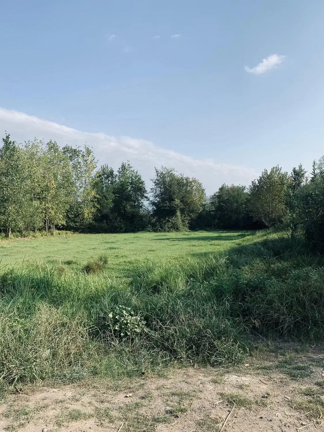 زمین باغی بازکیاگوراب ایشکا|فروش زمین و ملک کلنگی|لاهیجان, بازکیاگوراب|دیوار