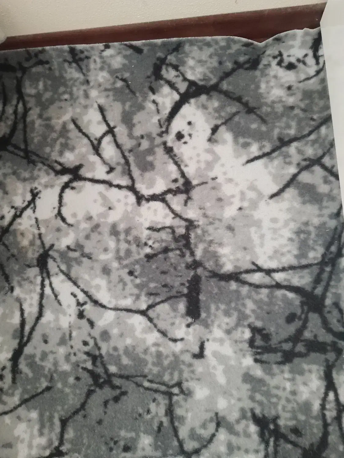 موکت ۹متری|موکت|شاهین‌شهر, نسیم ۵|دیوار