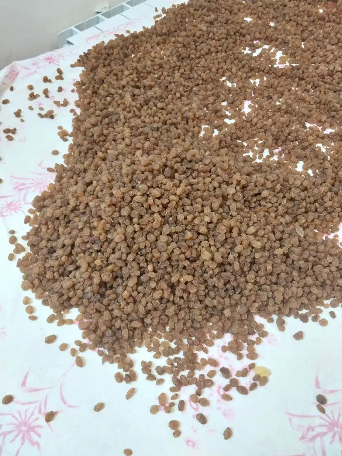 کشمش پلویی|خوردنی و آشامیدنی|سبزوار, ولیعصر (نجار آباد)|دیوار