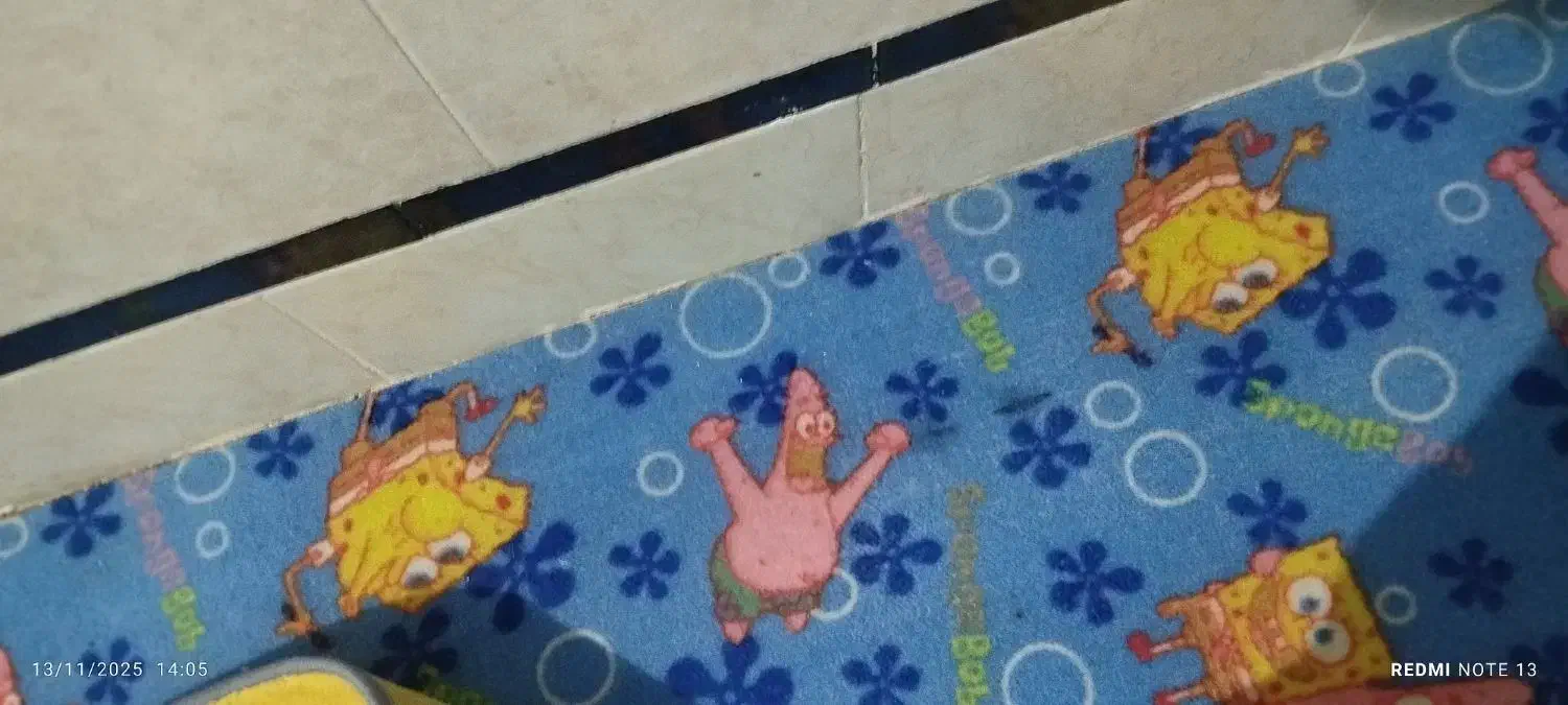 فرش وموکت|فرش|زابل, |دیوار