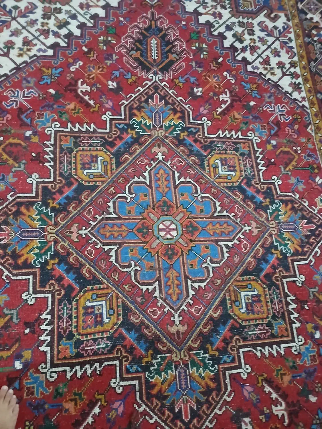 فرش دست بافت شش متری|فرش|تبریز, |دیوار