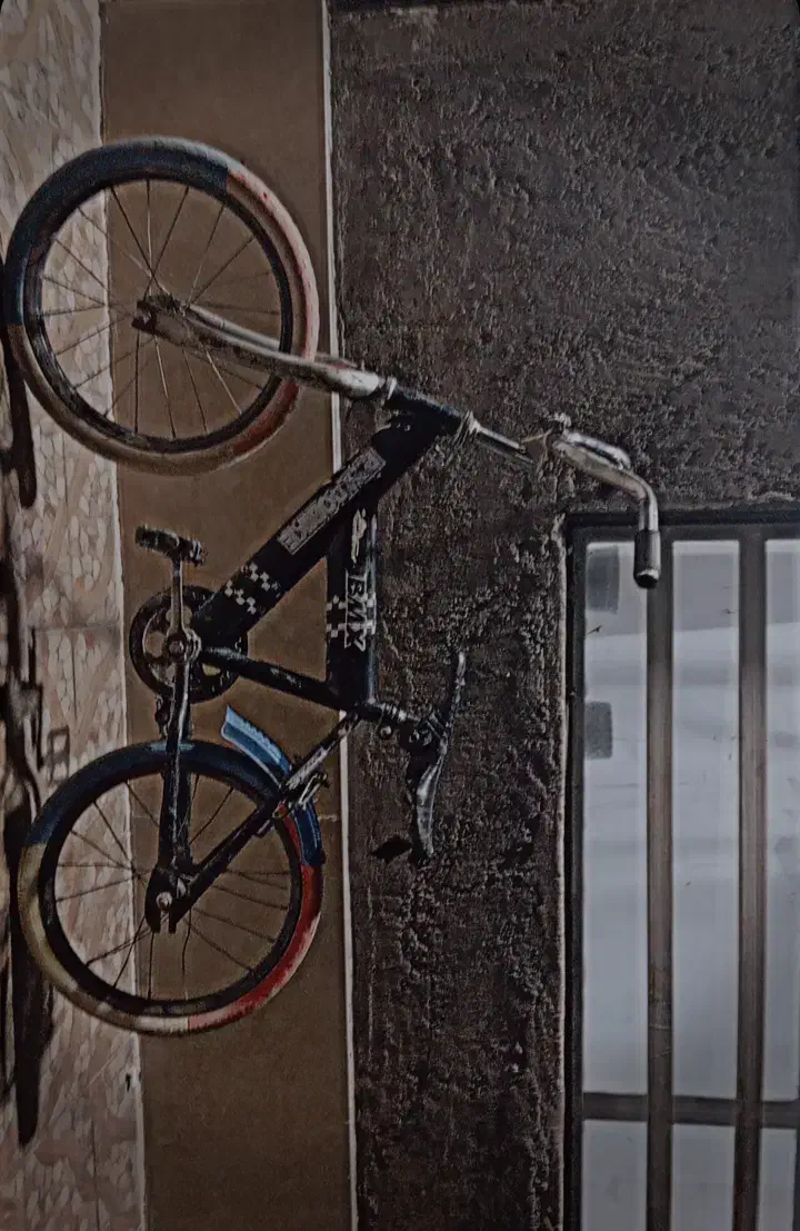 دوچرخه 16|دوچرخه، اسکیت، اسکوتر|بم, |دیوار