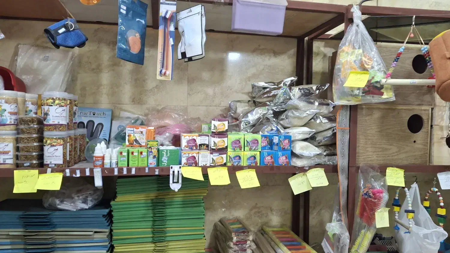 پت شاپ نوک طلا|لوازم جانبی حیوانات|رشت, معلولین|دیوار