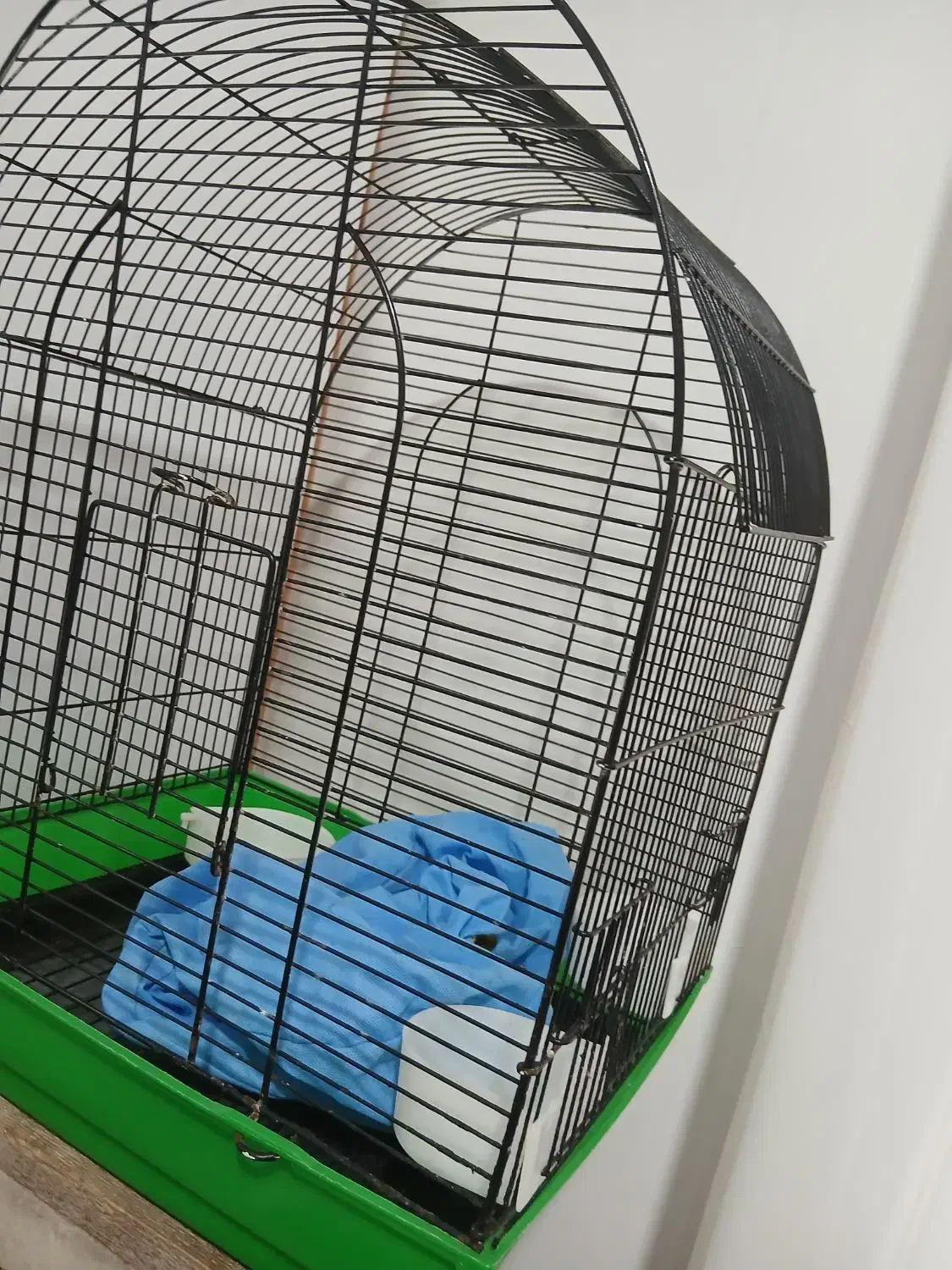 قفس|لوازم جانبی حیوانات|رشت, کوی جام جم|دیوار