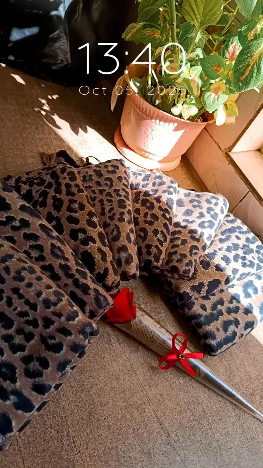 شال|لباس|بهارستان, |دیوار