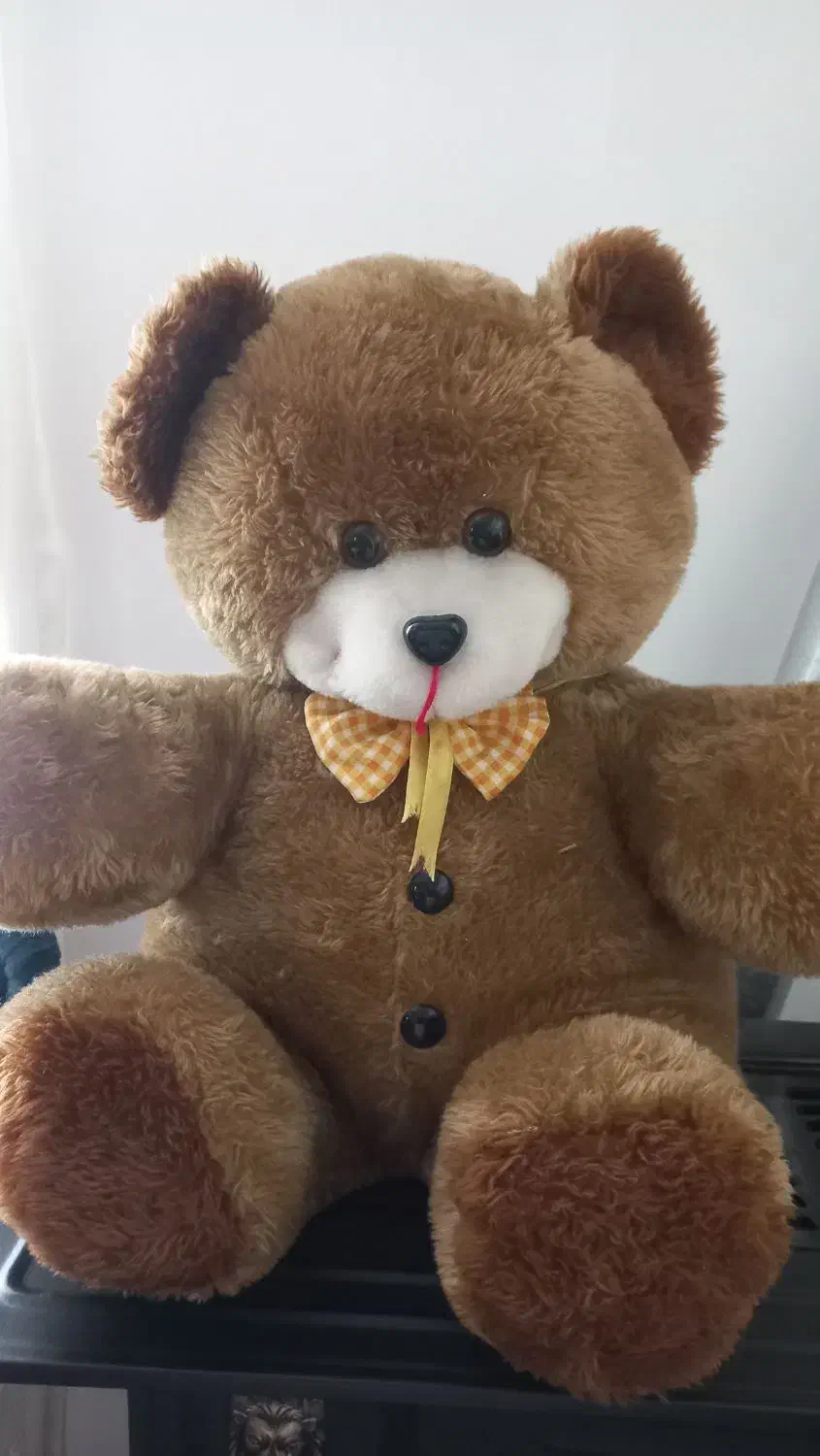 عروسک خرسی قهوه ای|اسباببازی|ساری, |دیوار