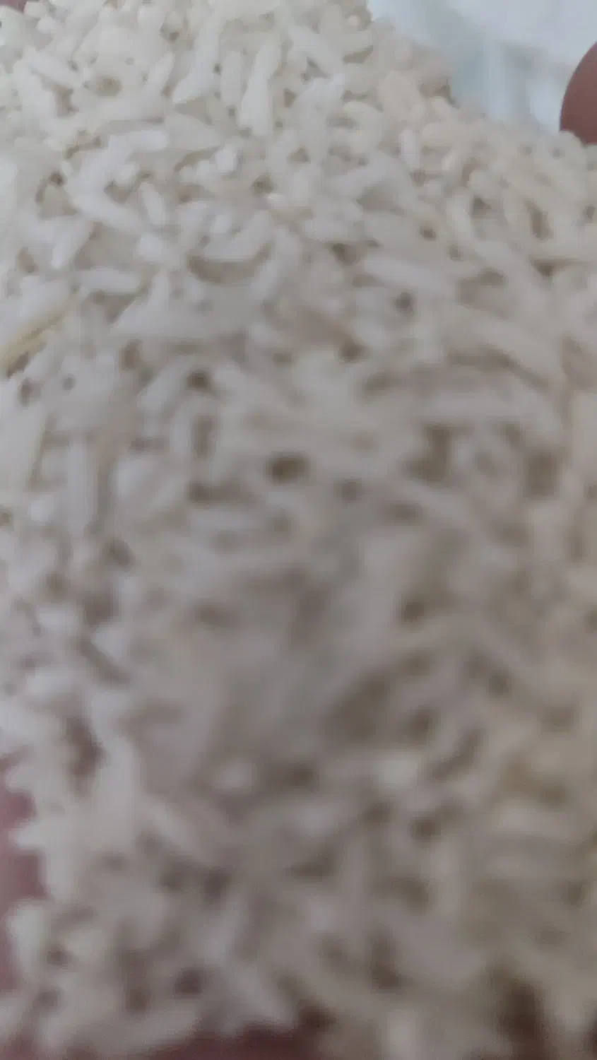 برنج دمسیاه|خوردنی و آشامیدنی|کلاله, |دیوار