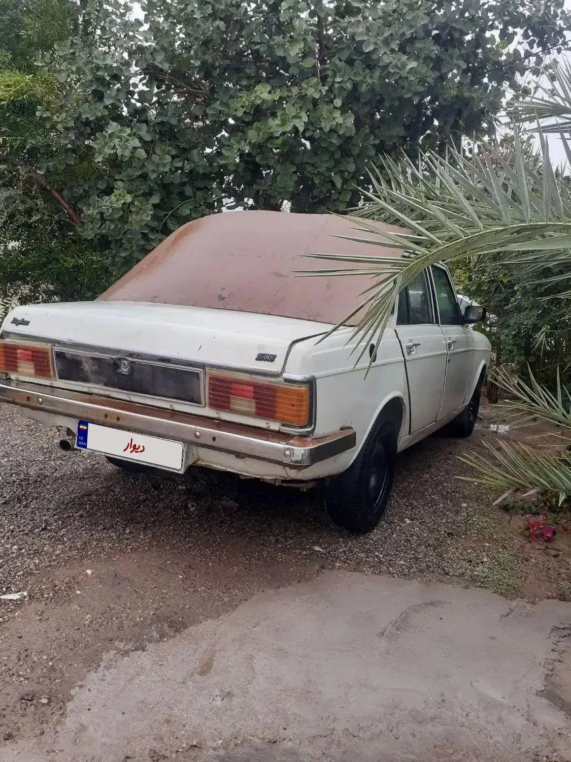 پیکان سواری مدل۸۳|خودرو سواری و وانت|هفتگل, |دیوار