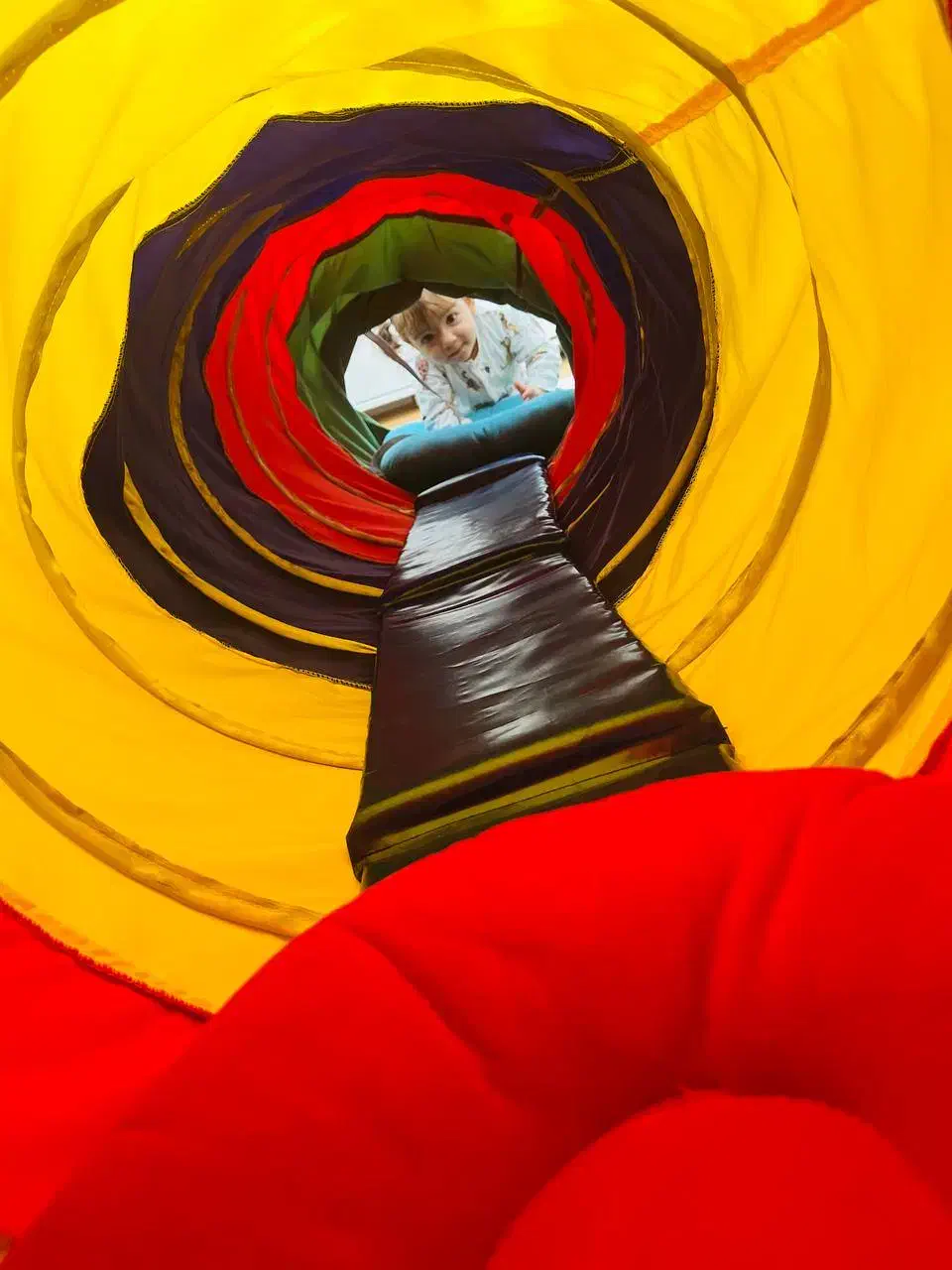 استخدام دفتر دار|استخدام اداری و مدیریت|تهران, درختی|دیوار