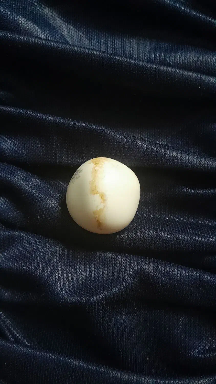 سنگ آسیاب|کلکسیون اشیاء عتیقه|فیروزآباد (فارس), |دیوار