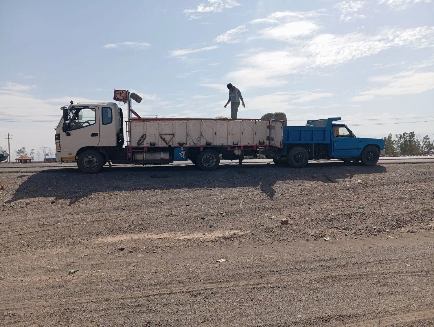 خاورنیسان کودگاو|خدمات باغبانی و درختکاری|بم, |دیوار