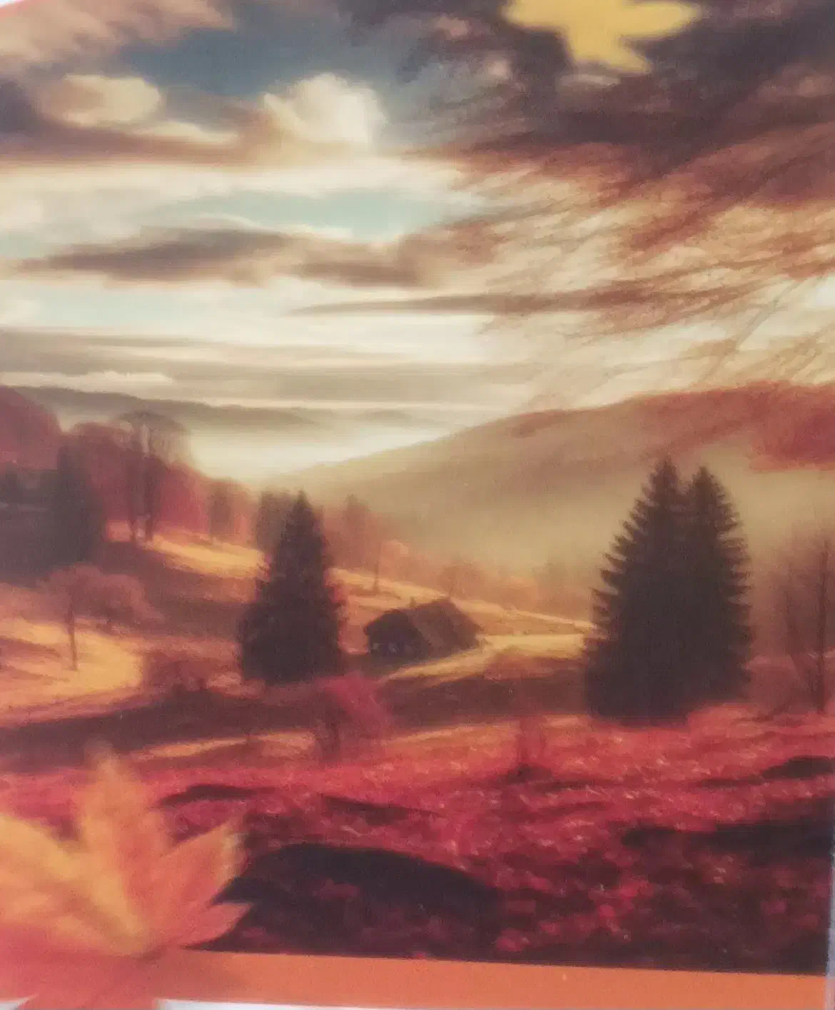 رهن خانه ویلایی|اجارهٔ خانه و ویلا|تربت جام, علوی|دیوار