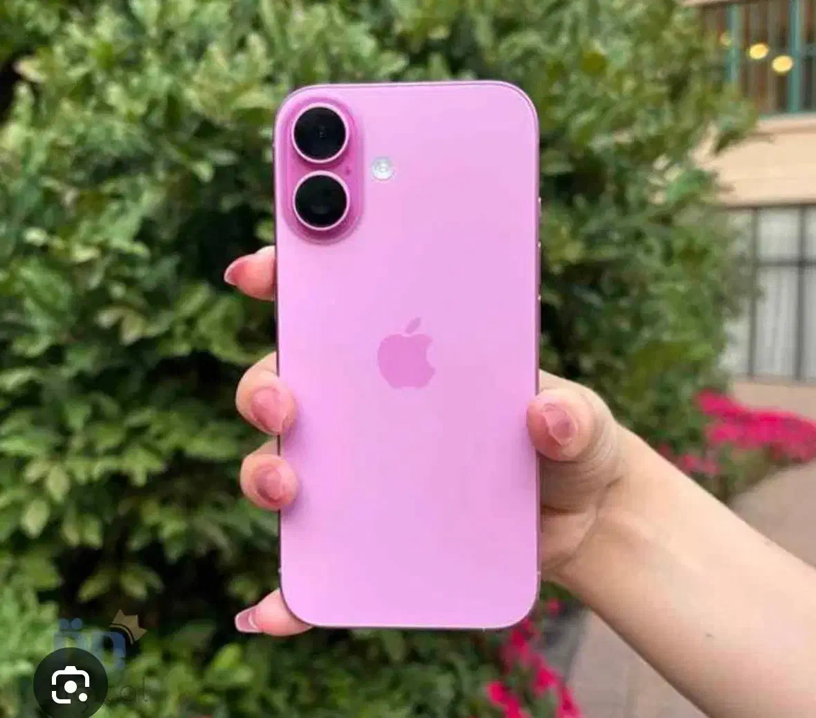 ایفون ۱۶ نرمال صورتی|موبایل|مشهد, الهیه|دیوار