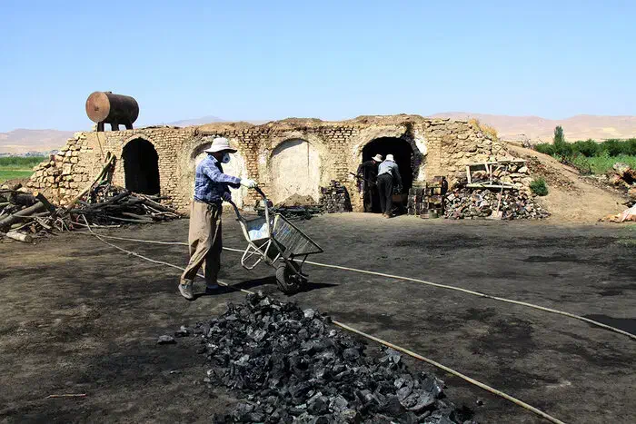 ذُغال درجه یک تخته وجَنگلی(ارسال رایگان)|عمدهفروشی|تهران, امام خمینی|دیوار