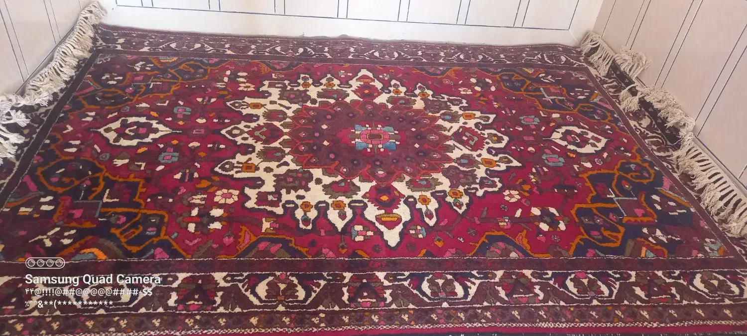 قالی محلی|فرش|ایذه, |دیوار