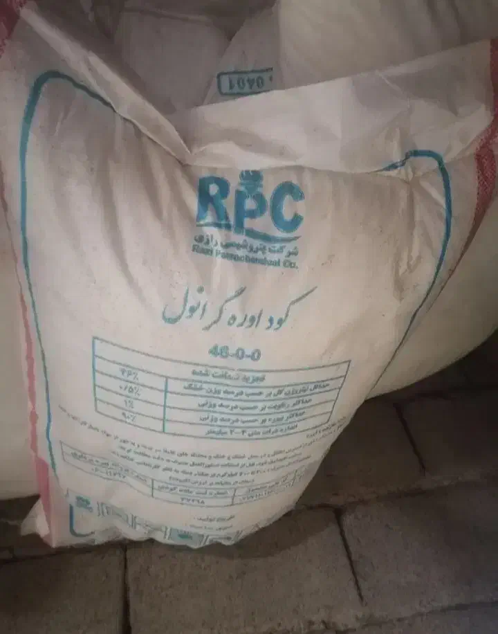 کود رازی|گل و گیاه طبیعی|چگنی, |دیوار