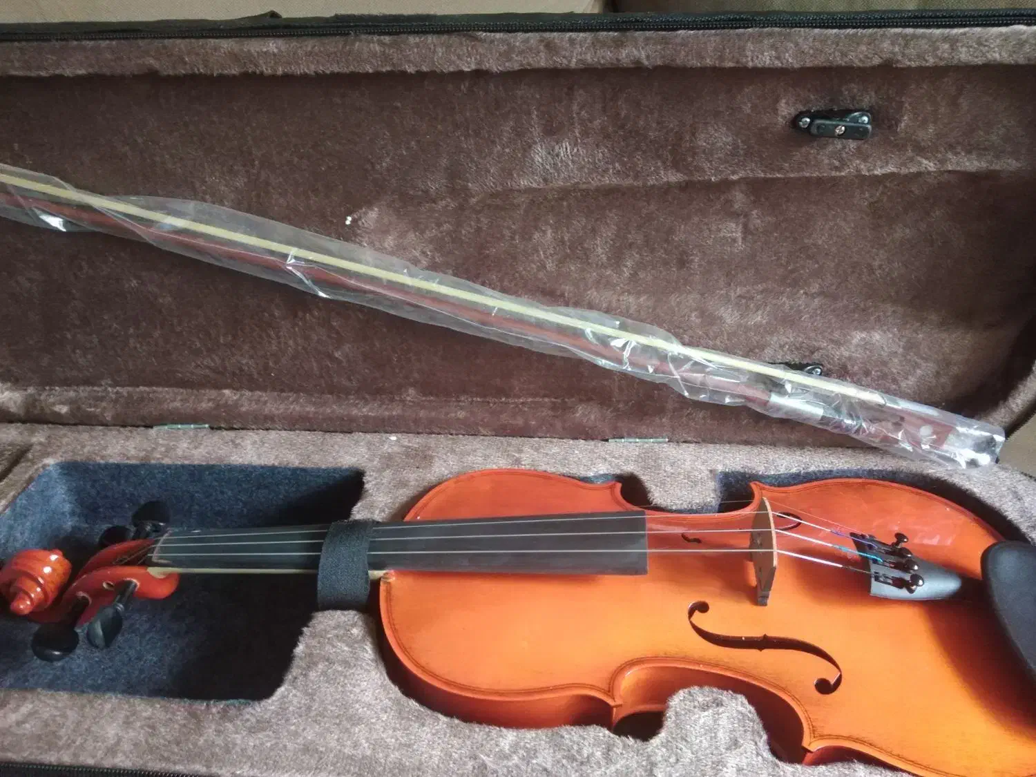 ویولن ایرانی و رناتو|ویولن|شیراز, منطقه هوایی شهید دوران|دیوار