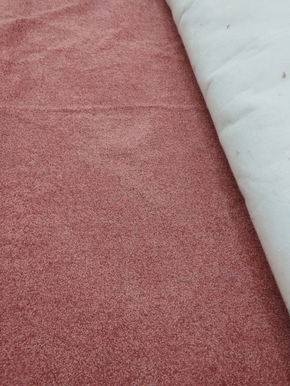 موکت|موکت|قم, نخودی|دیوار