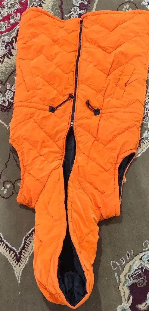 پافر|لباس|نورآباد ممسنی, |دیوار