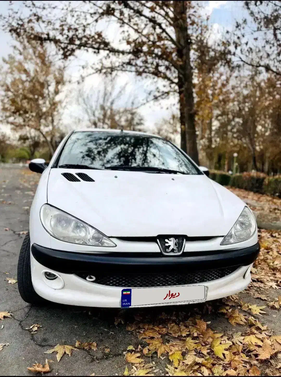 206 SD V8|خودرو سواری و وانت|شهرکرد, |دیوار