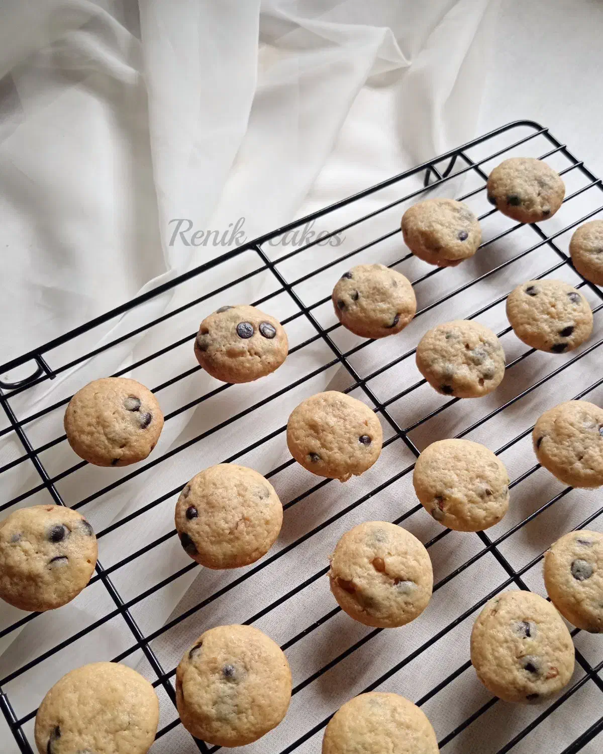 کوکی کیک شیرینی دونات و...|خدمات پذیرایی، مراسم|تالش, هشتپر|دیوار