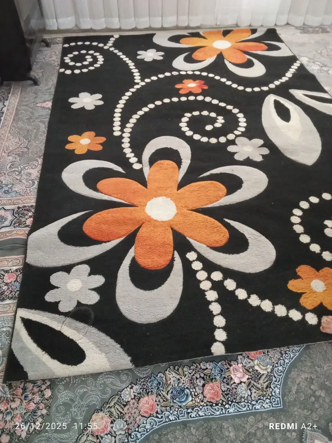 دوعددگلیم ۶متری و۴متری|گلیم، جاجیم، گبه|الوند, |دیوار