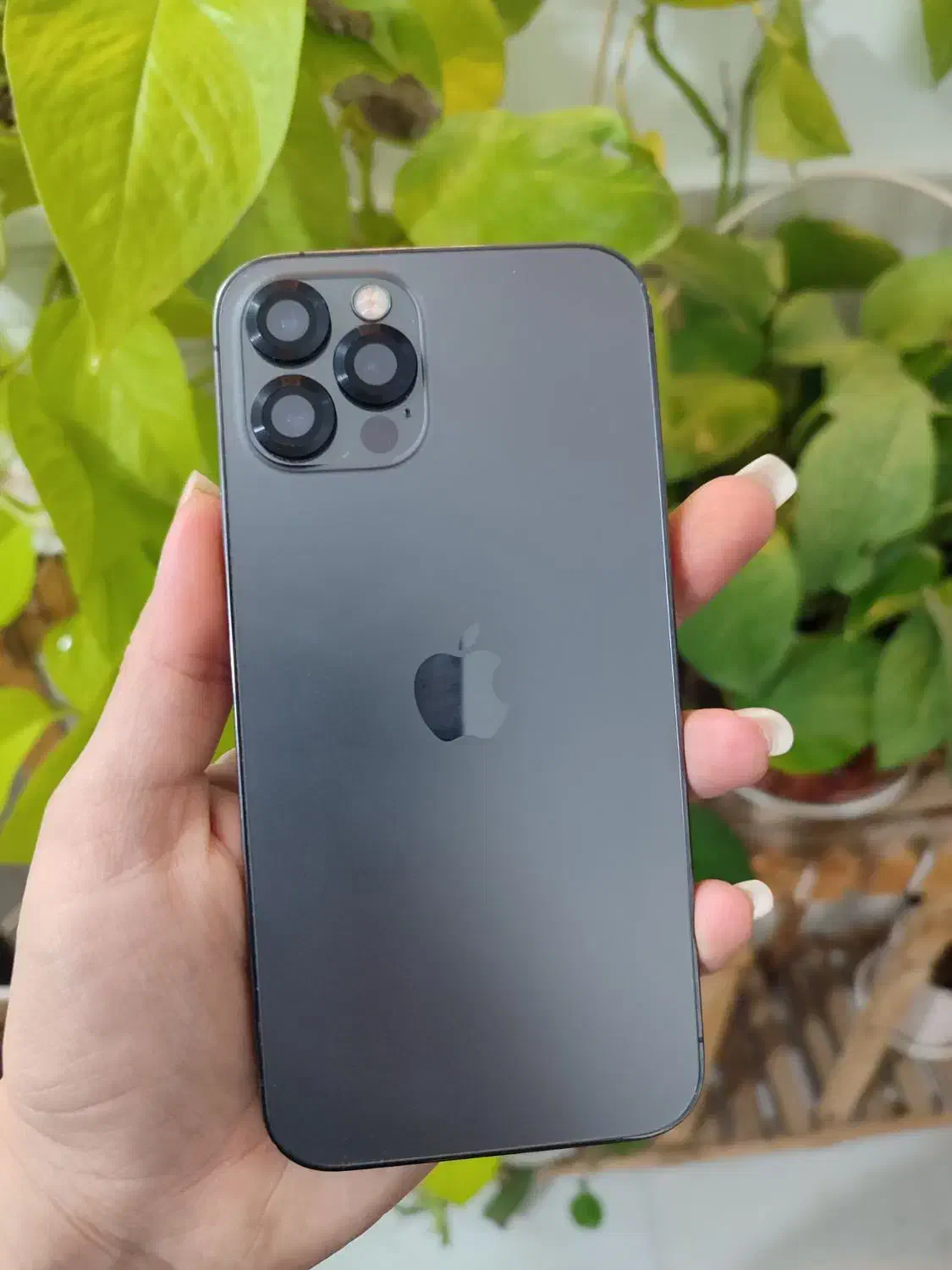 12پرو|موبایل|مشهد, شهرک بهارستان|دیوار