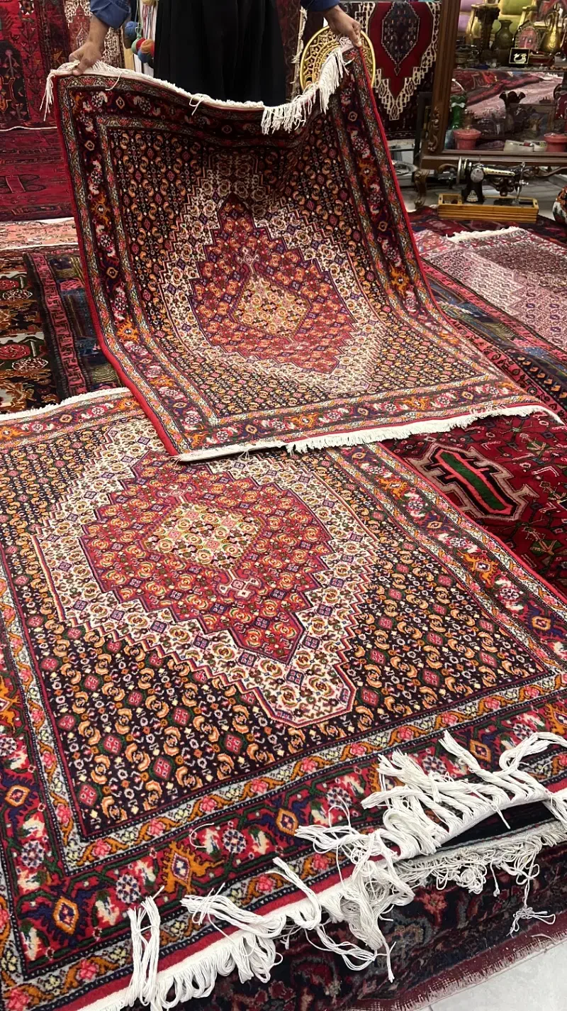 فرش دستباف کوردستان|فرش|سنندج, |دیوار