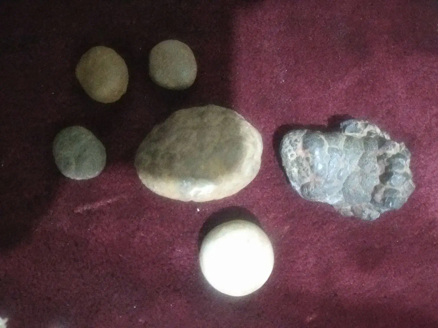 شهاب سنگ و فسیل و سنگ الماس یاهمون آسیاب|کلکسیون اشیاء عتیقه|شیراز, درکی|دیوار