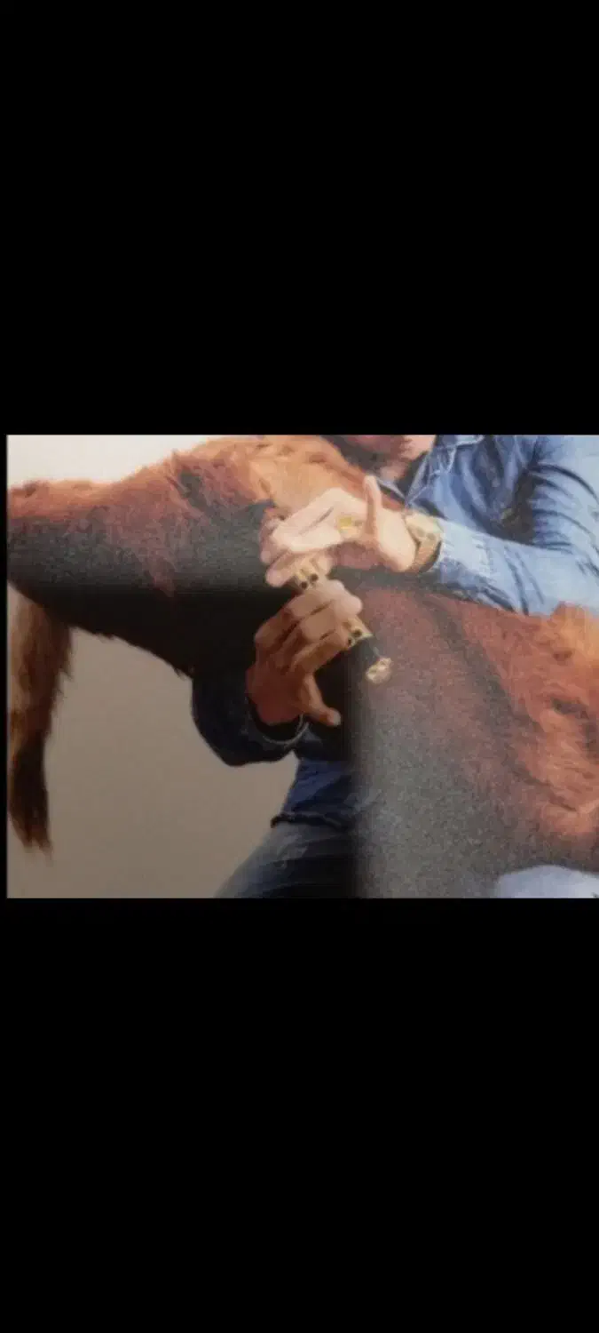 آموزش نی انبان|درام و پرکاشن|بندر گناوه, |دیوار