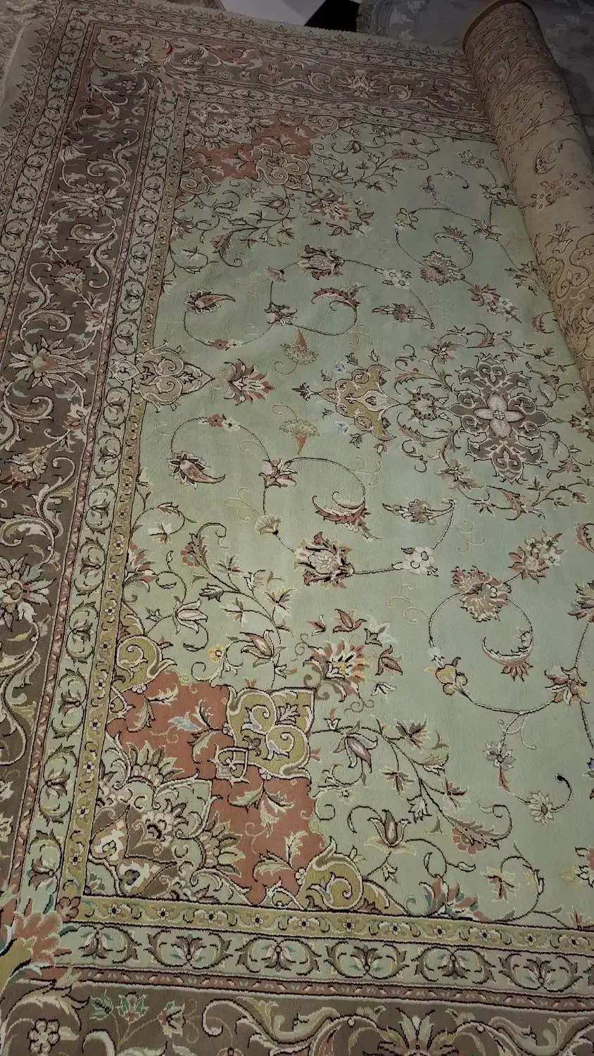 فرش|فرش|رامسر, |دیوار