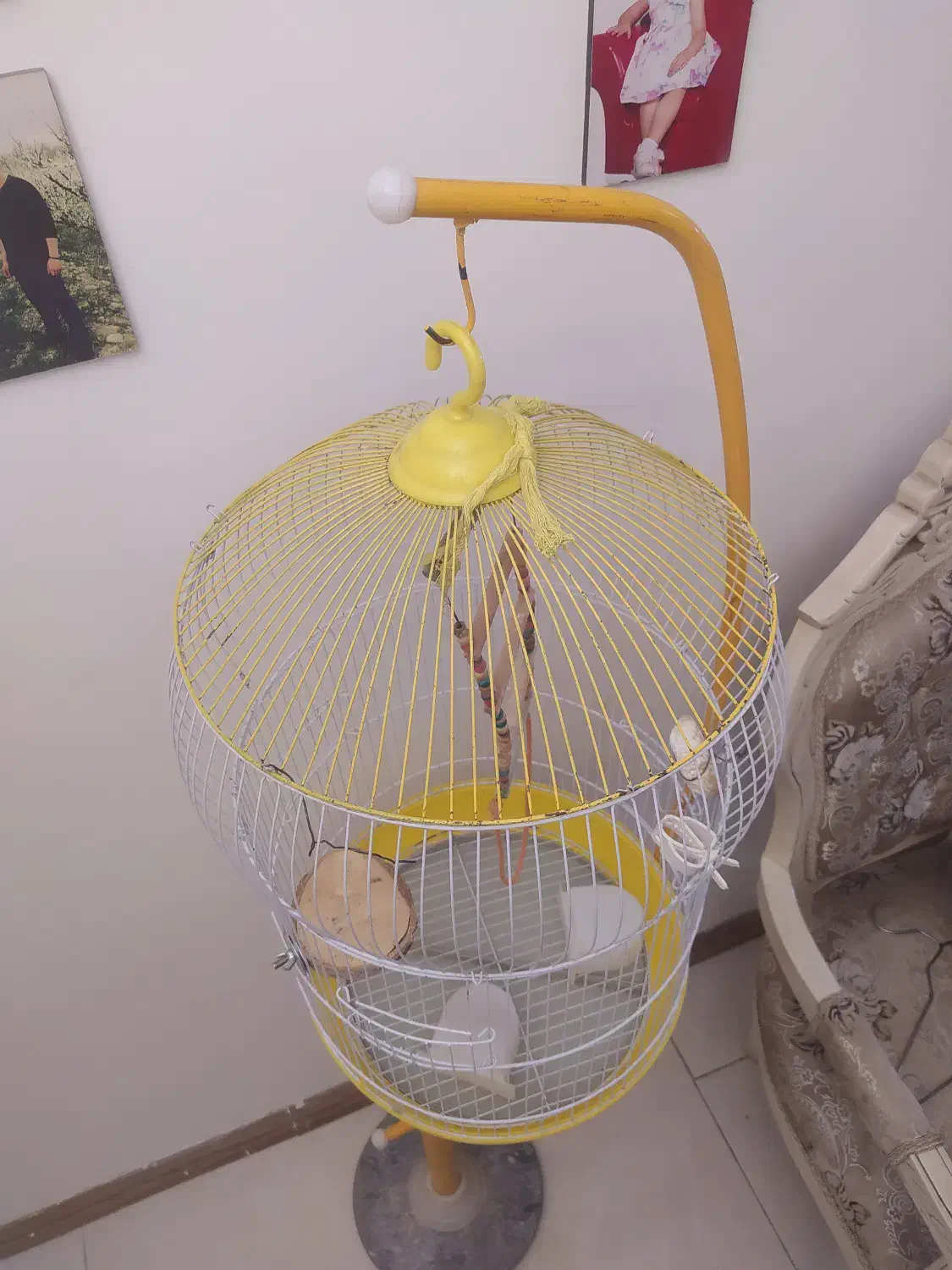 قفس پایه دار بلند|لوازم جانبی حیوانات|کرج, گلشهر|دیوار