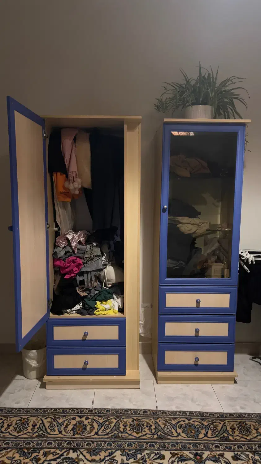 کمد لباس آلمانی|جاکفشی، کمد، دراور|فردیس, نسترن غربی|دیوار