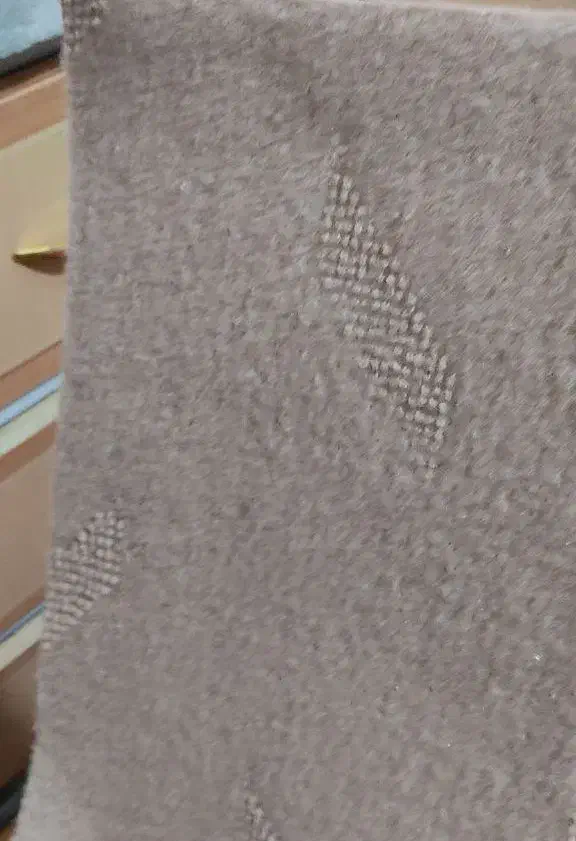 موکت|موکت|سبزوار, جوادیه غربی|دیوار