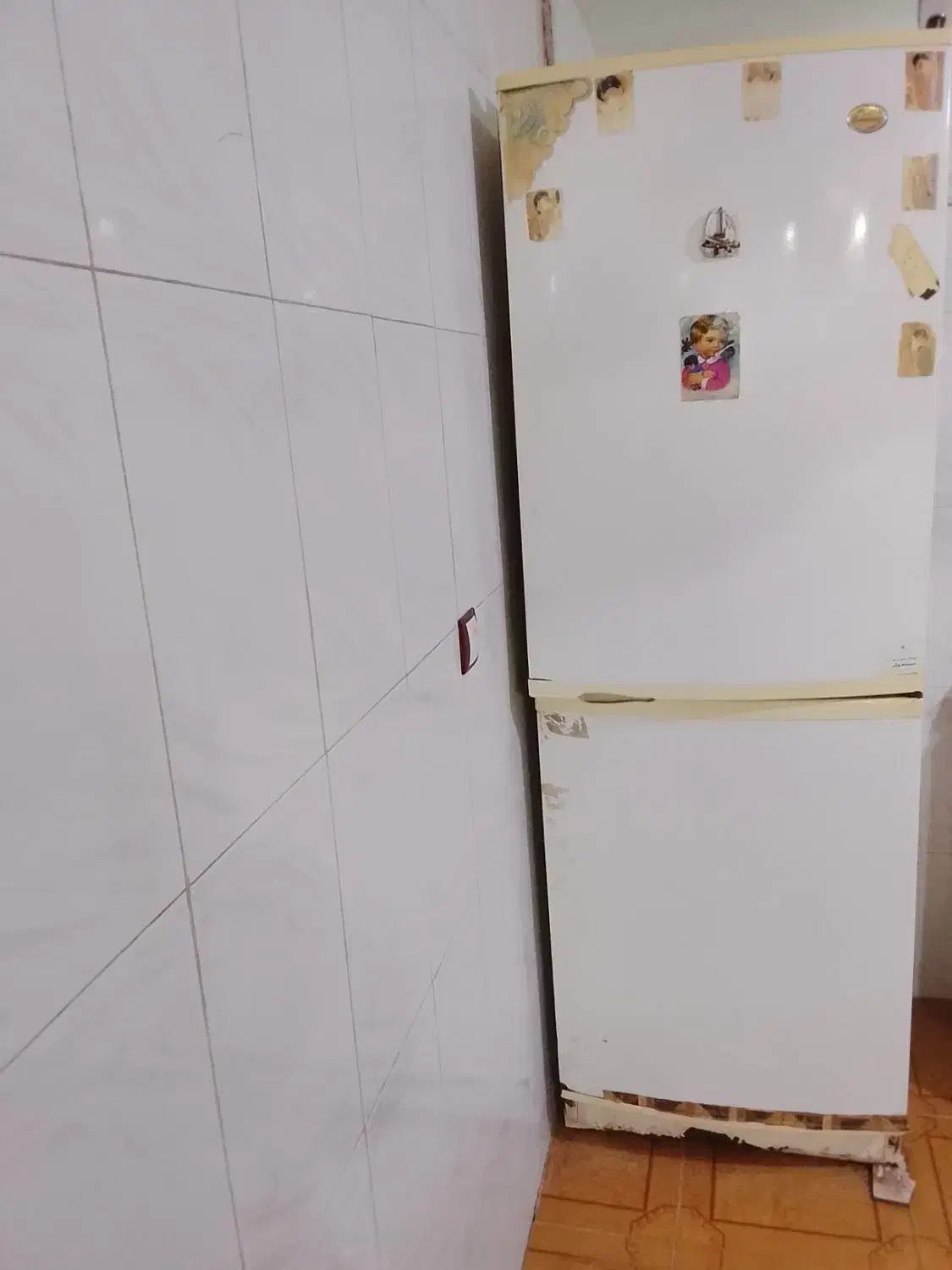 یک عدد یخچال فریزر سایوان|یخچال و فریزر|تربت جام, کشتارگاه|دیوار