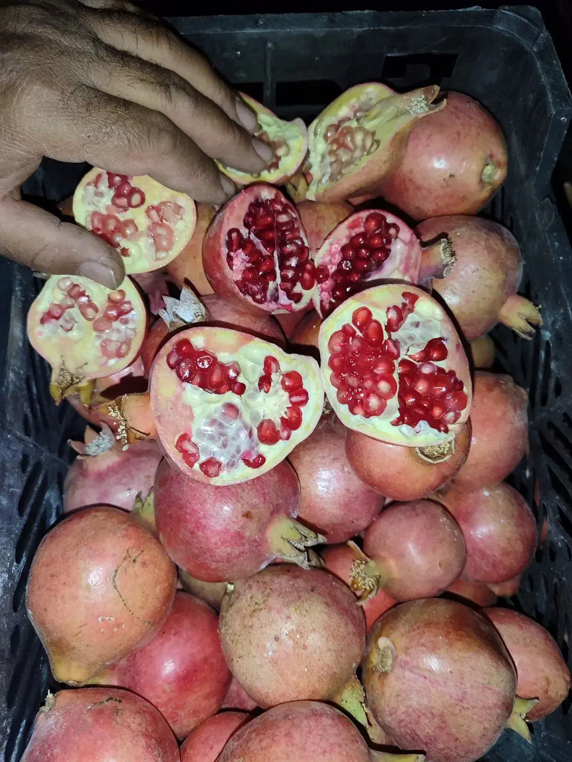 انار|خوردنی و آشامیدنی|داراب, |دیوار