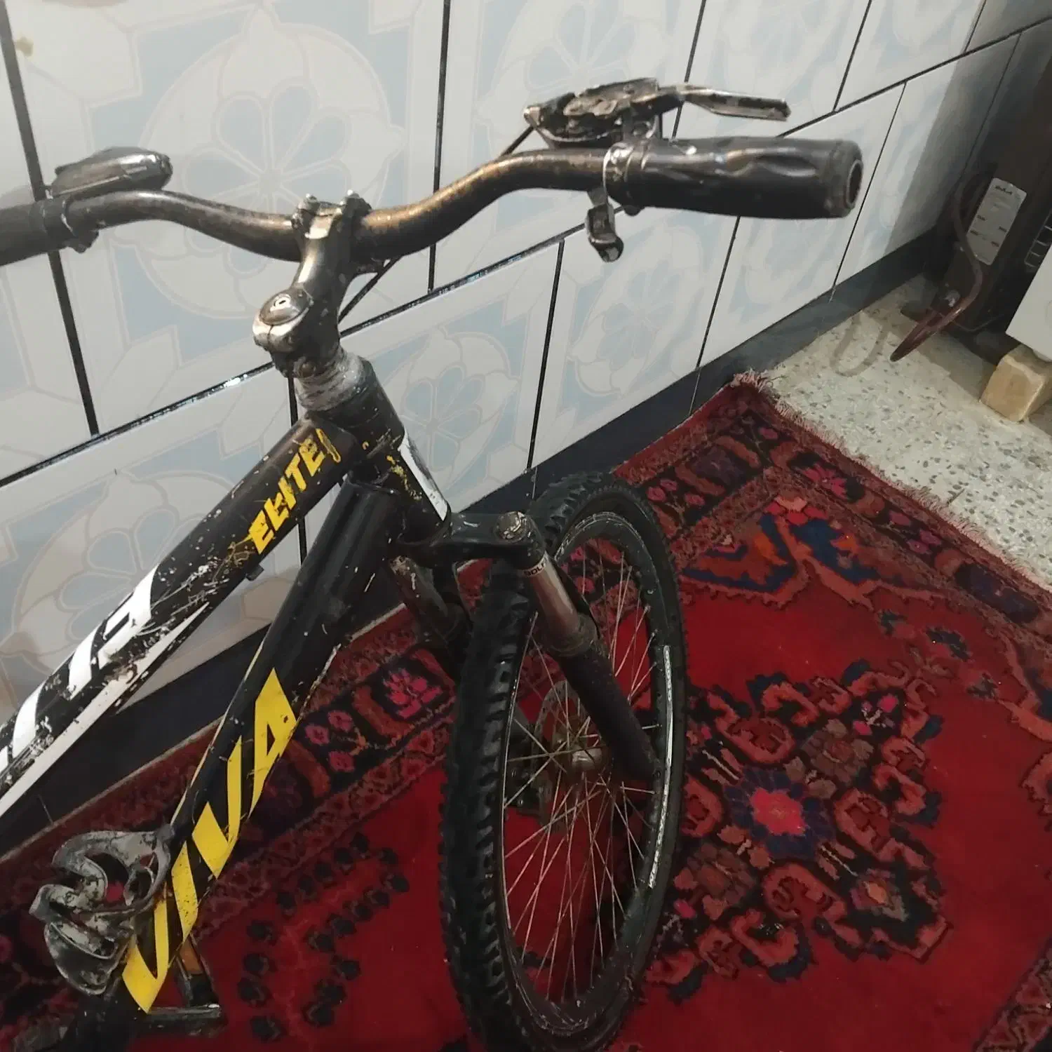 دوچرخه|دوچرخه، اسکیت، اسکوتر|شادگان, |دیوار