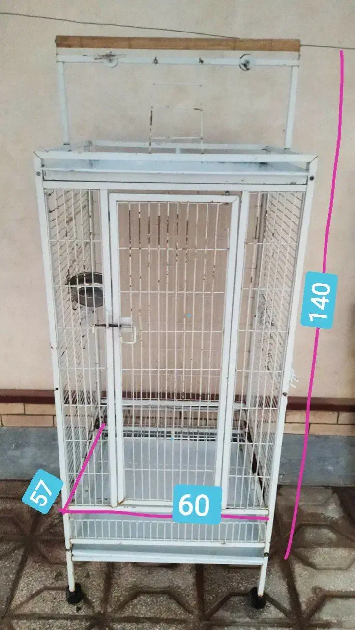 قفس بزرگ طوطیسانان|لوازم جانبی حیوانات|طبس, |دیوار