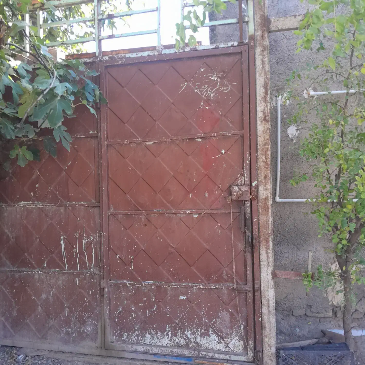 در حیاط سالم ۲مترو نیم|مصالح و تجهیزات ساختمان|سرخنکلاته, |دیوار