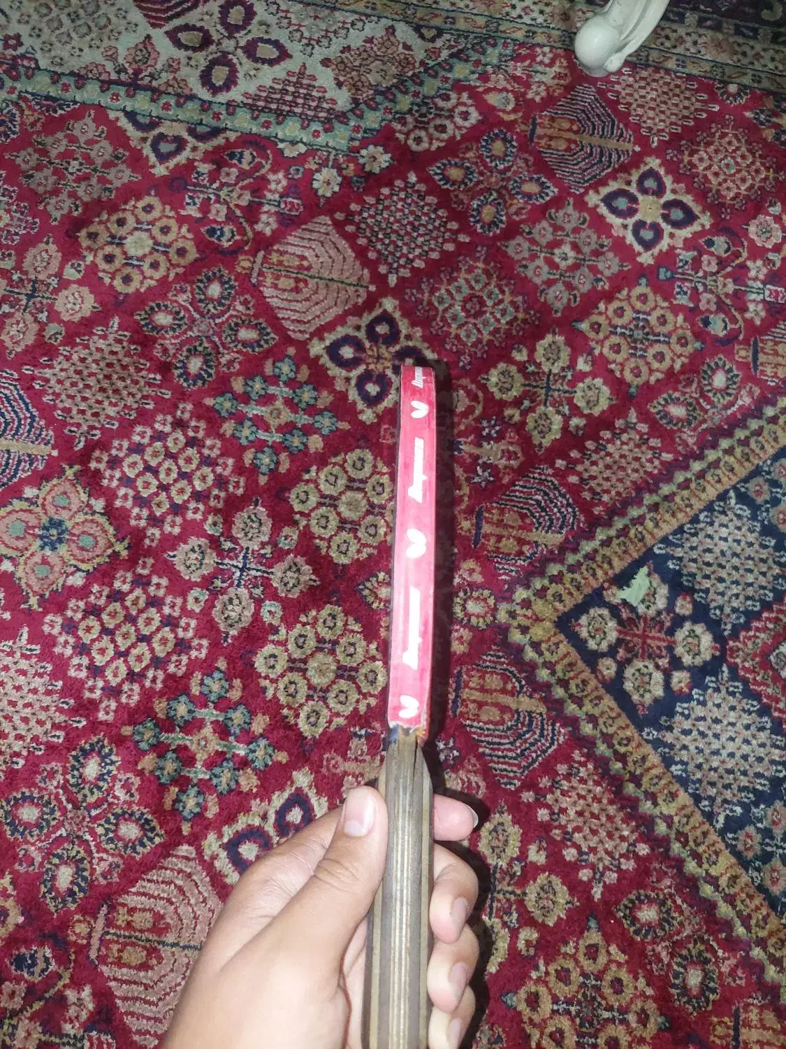 راکت پینگ پنگ|ورزشهای توپی|تهران, مشیریه|دیوار