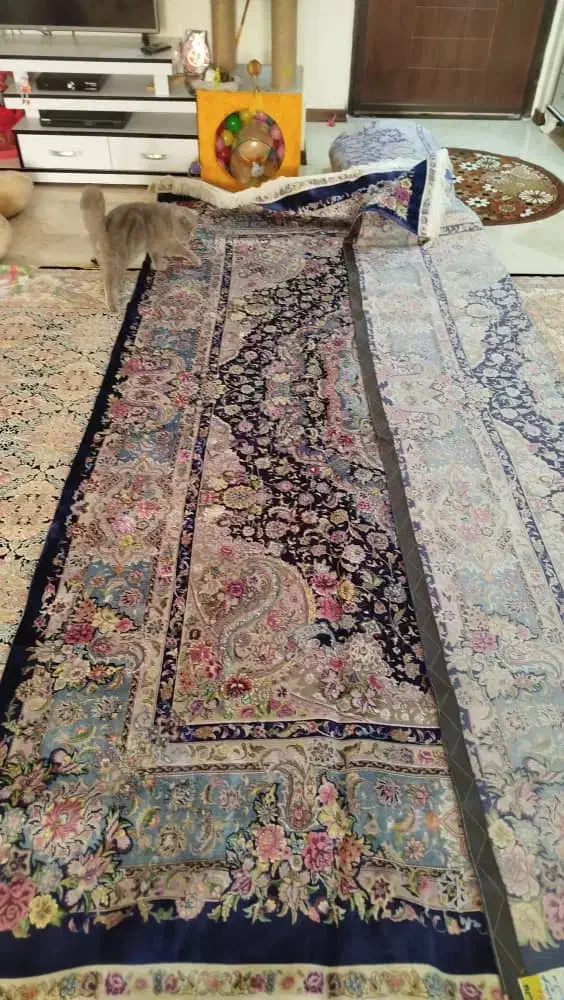 فرش دست بافت|فرش|تهران, ایرانشهر|دیوار