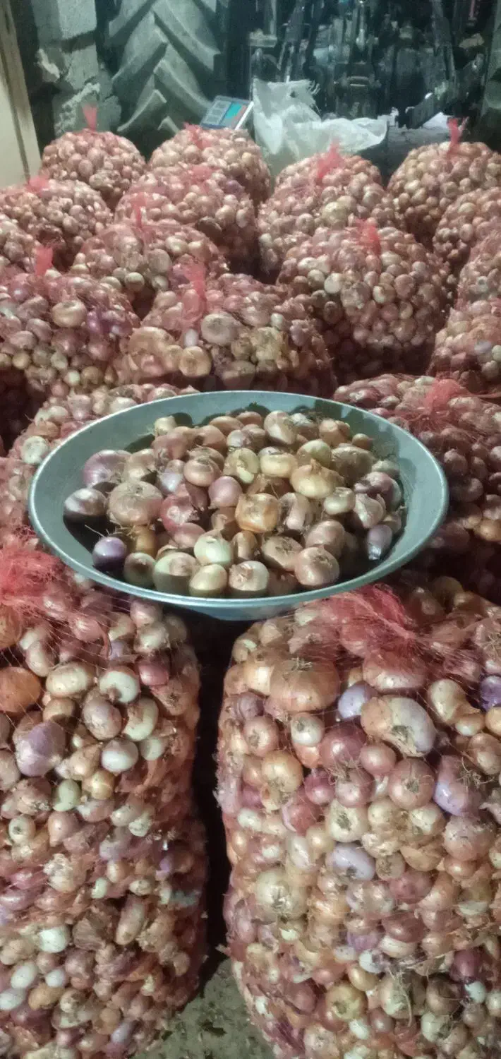 پیاز محلی|عمده‌فروشی|بلبان آباد, |دیوار