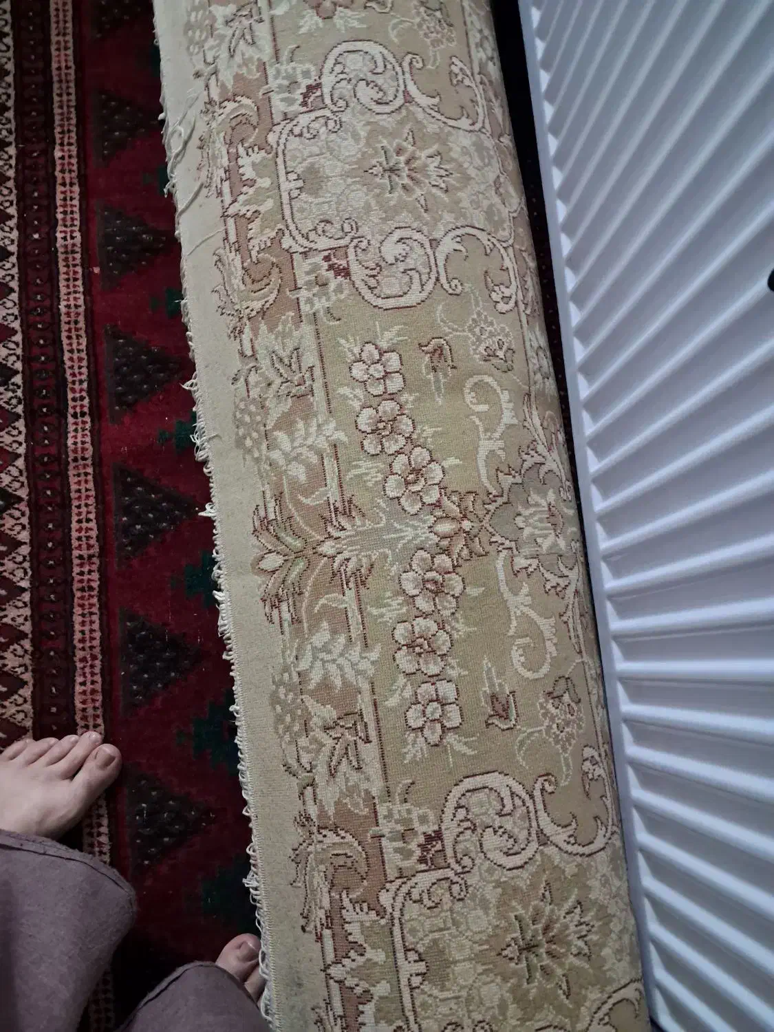 فرش|فرش|گرگان, |دیوار