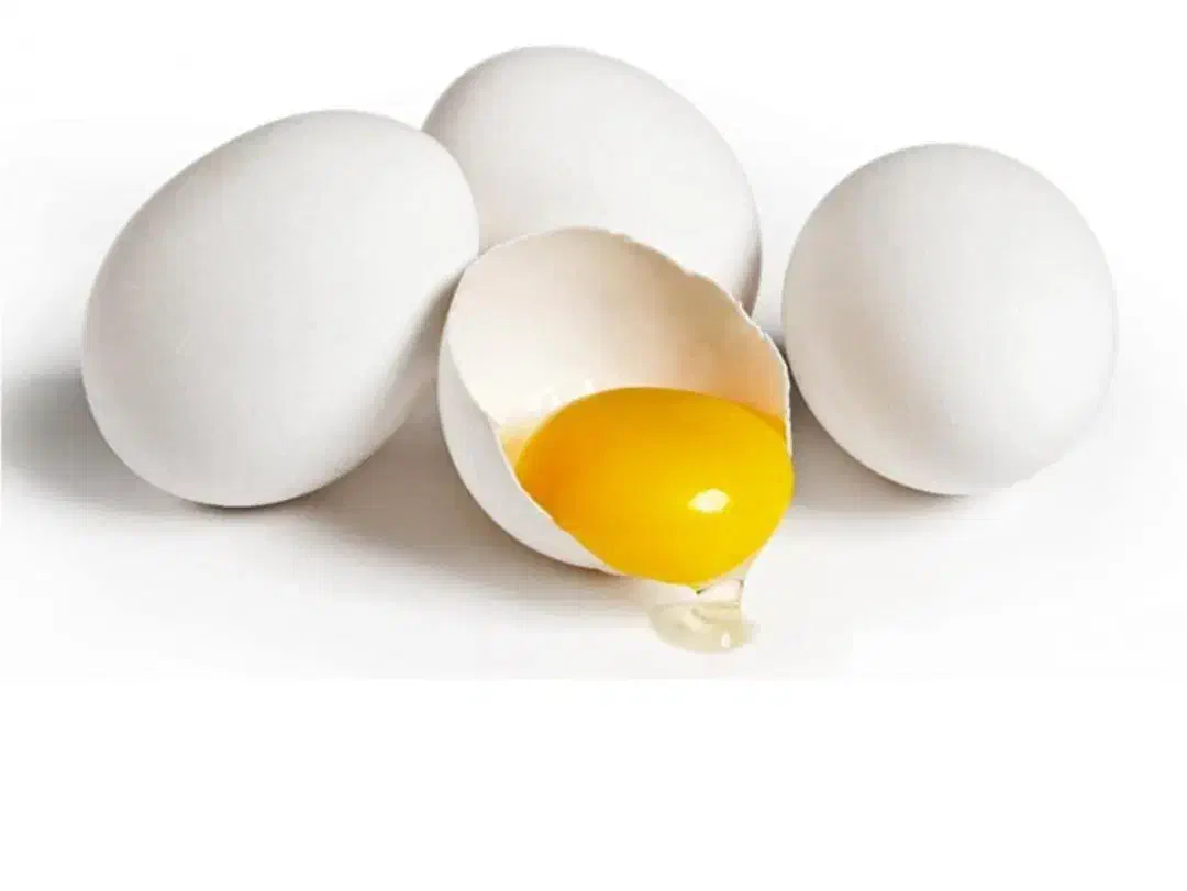 تخم مرغ شکسته|خوردنی و آشامیدنی|محمدیه-قزوین, |دیوار