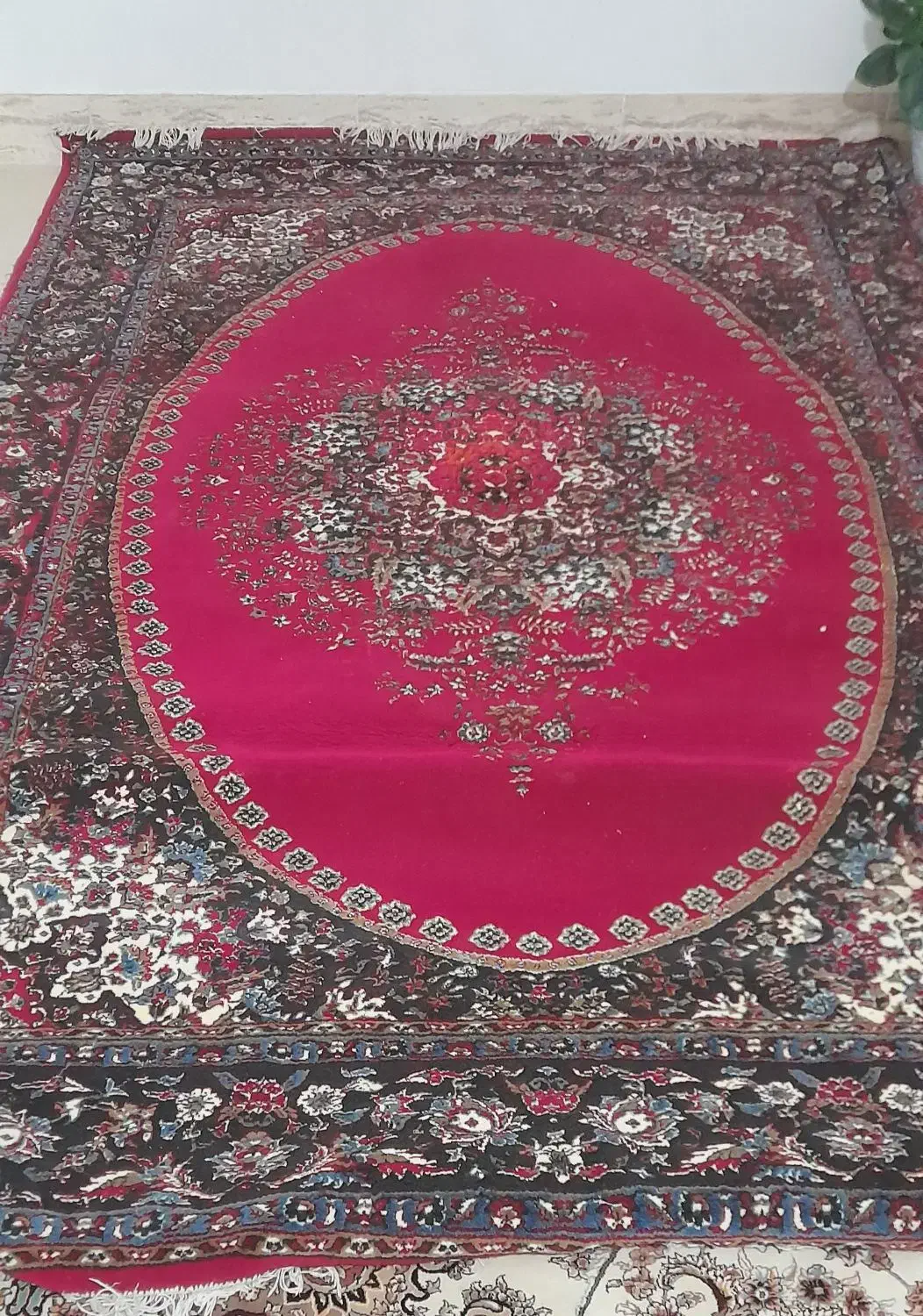 فرش|فرش|کوهدشت, |دیوار