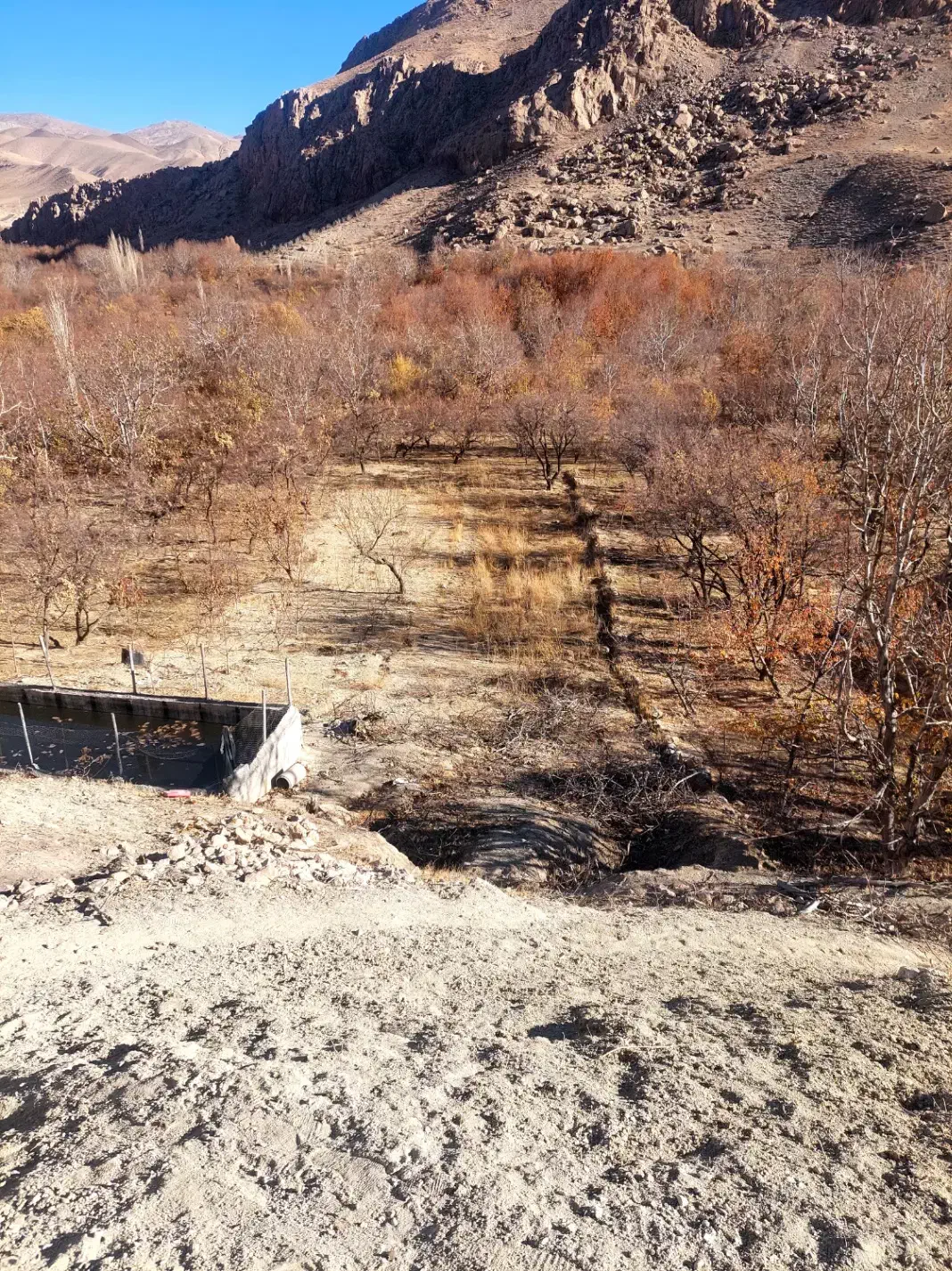 زمین کشاورزی|فروش زمین و ملک کلنگی|اسفراین, |دیوار